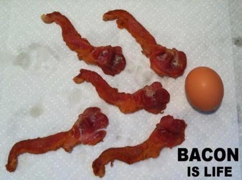 Bacon is life