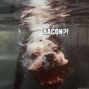 Bacon dog 3