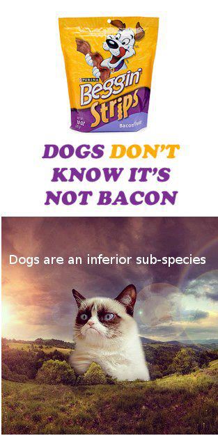 Dogs are Inferior